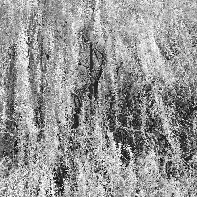 La cour des grands 5