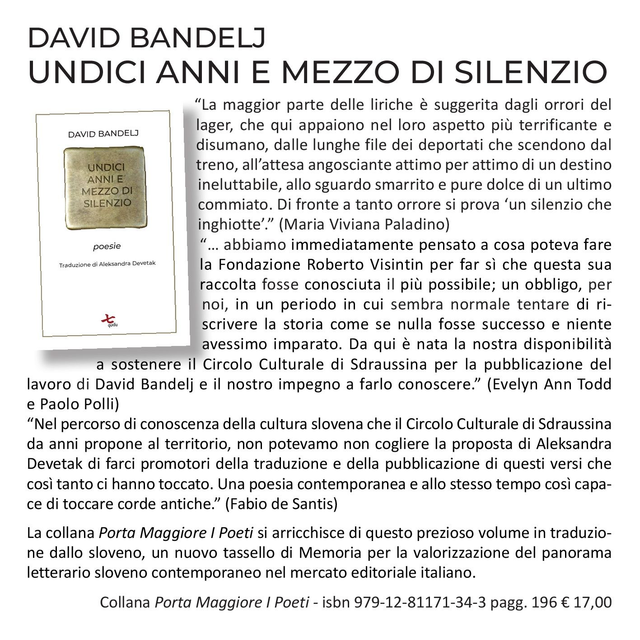 David Bandelj, "Undici anni e mezzo di silenzio", qudulibri 2025 (trad. di Aleksandra Devetak) 