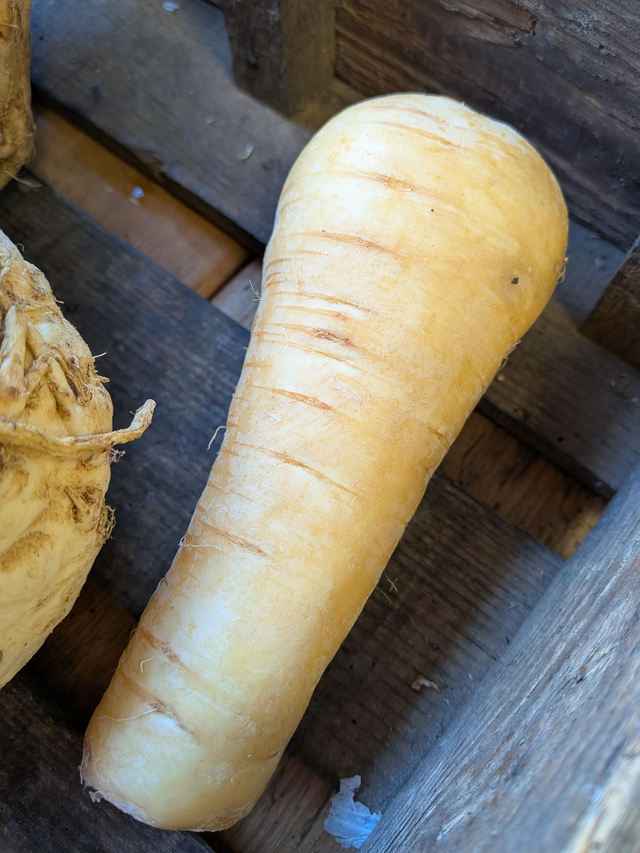 Parsnip 500g