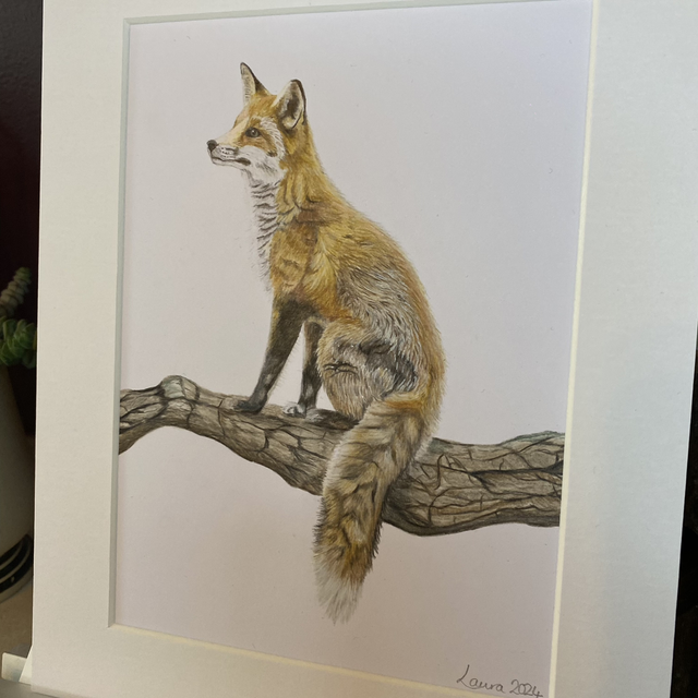 Fox on a Log Original Drawing 