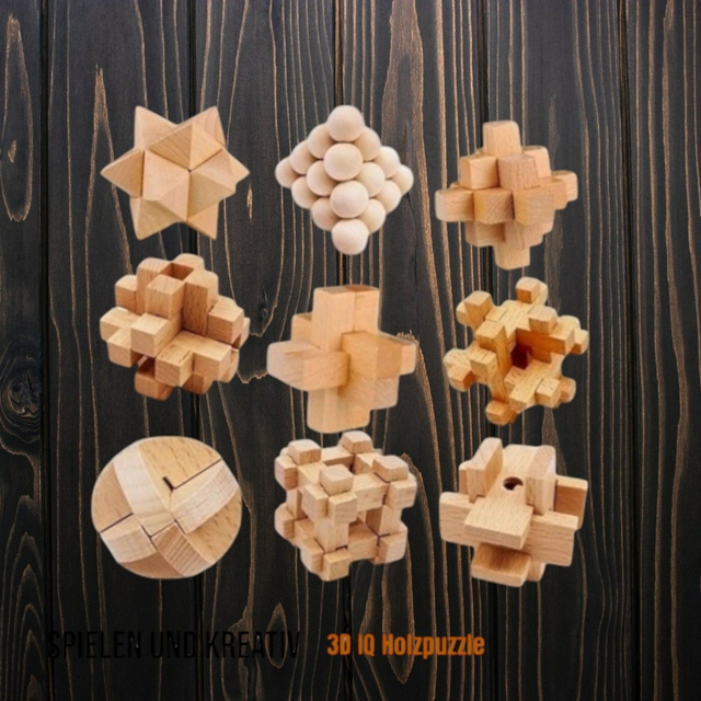 3D IQ Holzpuzzle