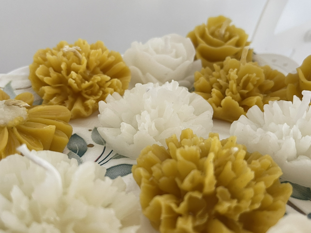 Flores pequeñas | flotantes