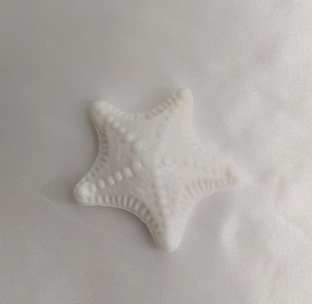 Petit Étoile de mer " Blanche "