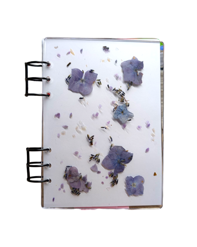 Carnet Jardin Violettes