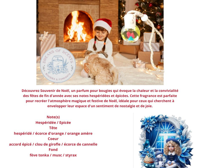 Diffuseur Souvenir de Noel