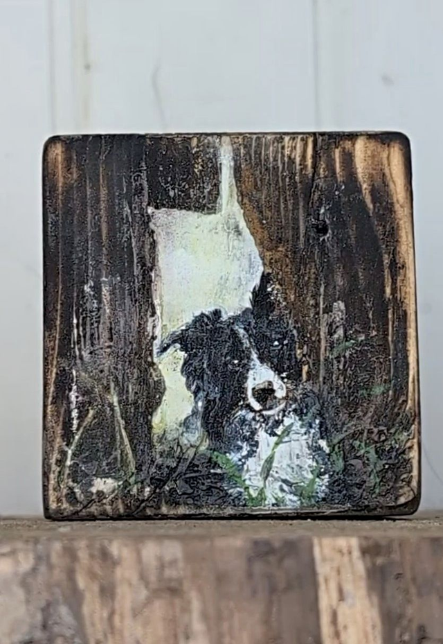 Collie dog peeking through a gap in the fence - Tealight Holder Reclaimed Wood