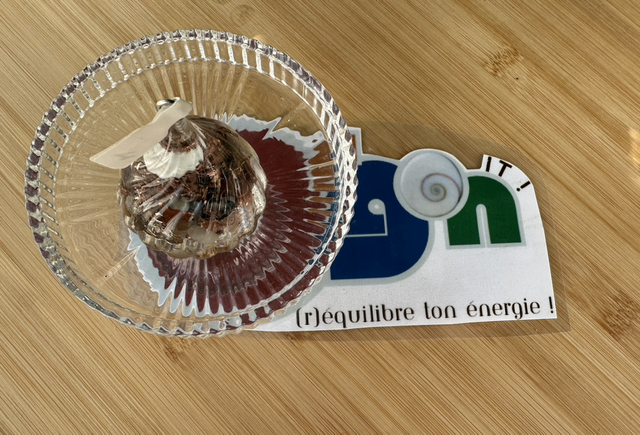 Orgon’it n*1 (taille grande) brisures des 7 chakras 396 Hz (avec sa goutte d’eau programmée pour le soin).