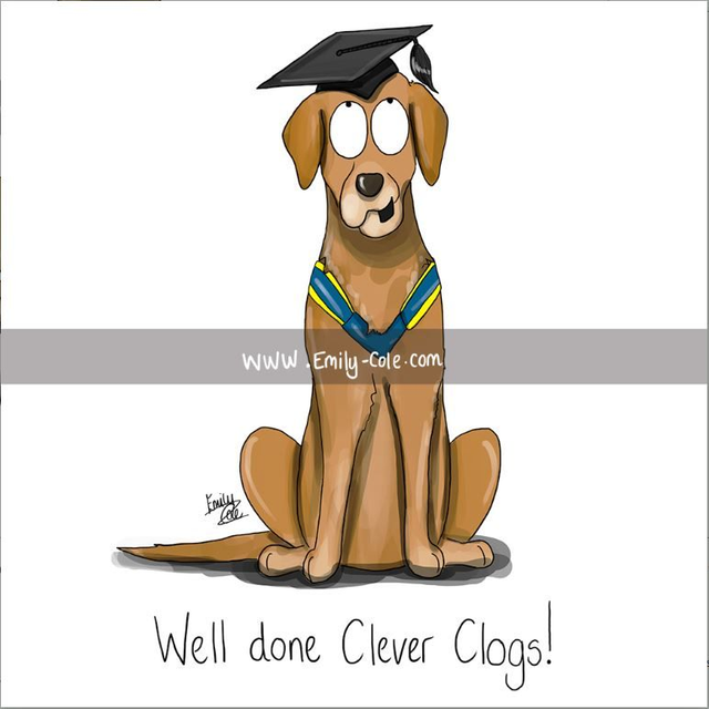 "Well done Clever Clogs" Greeting Card 