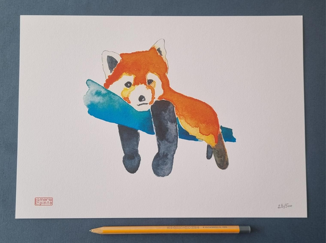 Panda roux à partir de 4€