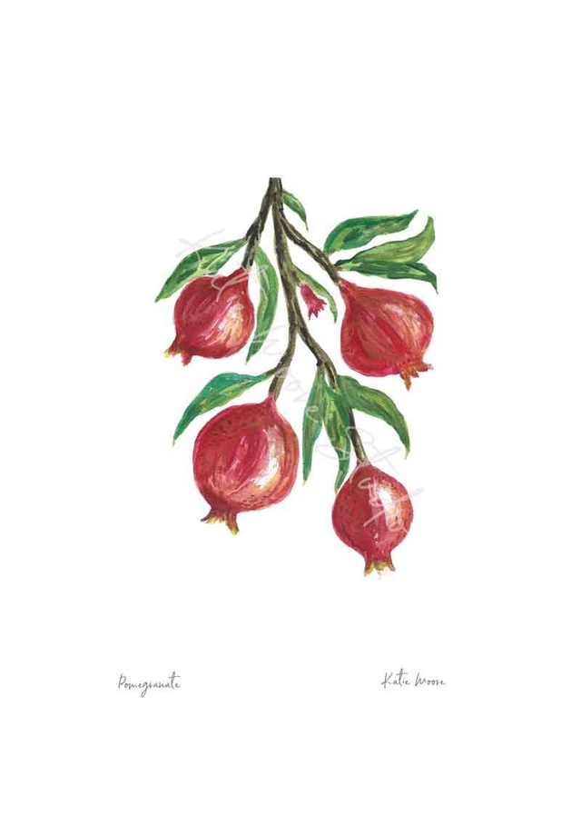 Pomegranate