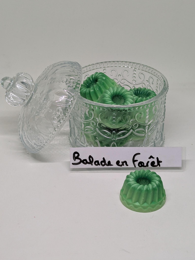 Balade en forêt 