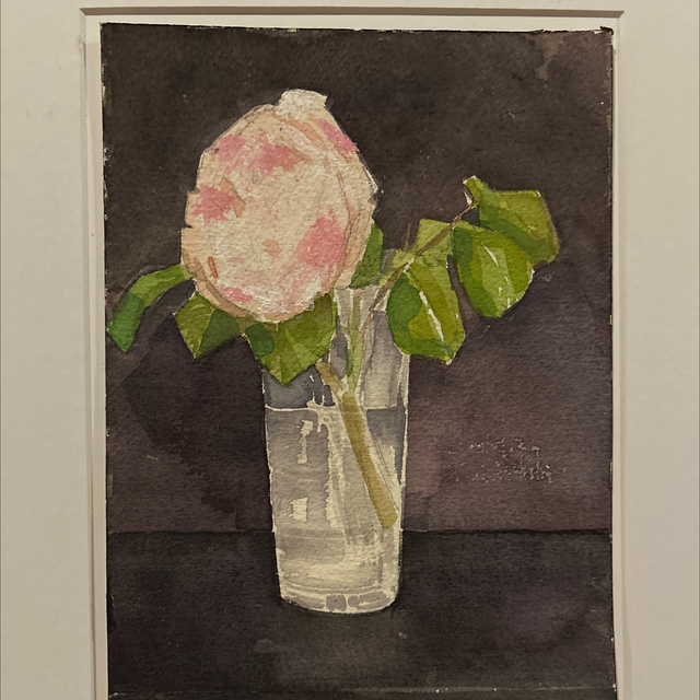 DB86 Rose by Deb Bunker, 40x50cm 
