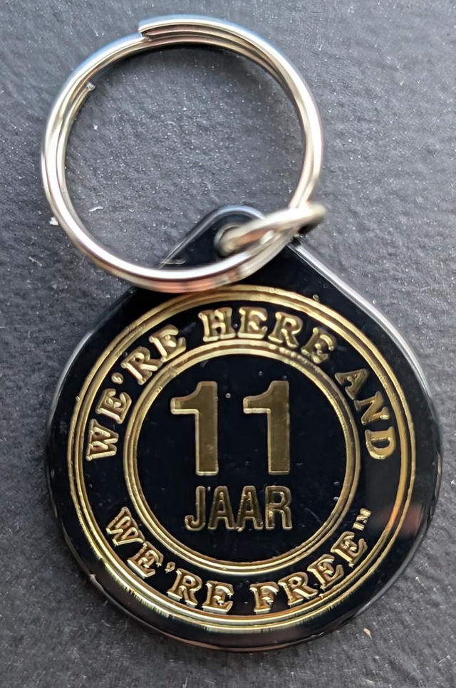 11 jaar plastic coin 