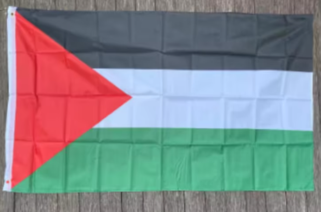 Grote vlag Palestina (150x90cm)