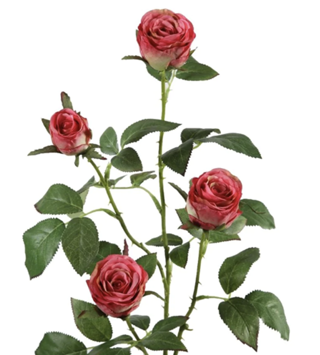 Cabbage Roos Roze 69cm 