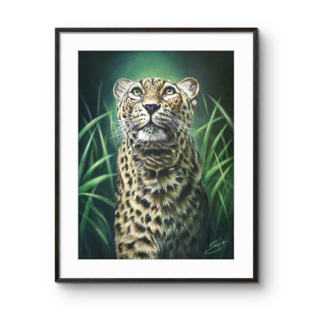 Tirage d’art Léopard guetteur d’émeraude 