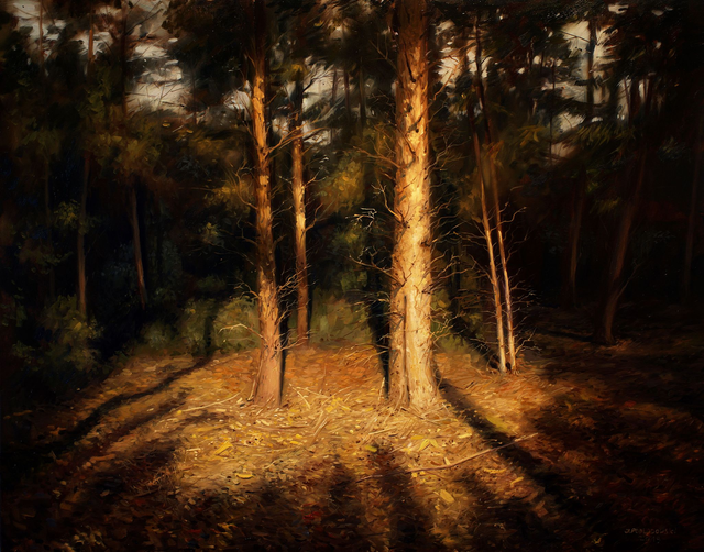 Światło lasu 100x120 olej płótno 2019 oprawiony 
