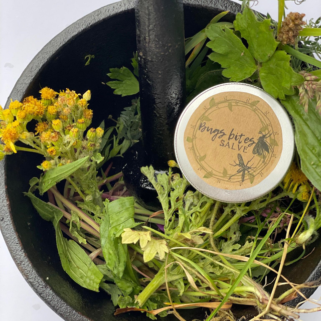 Bug bites salve
