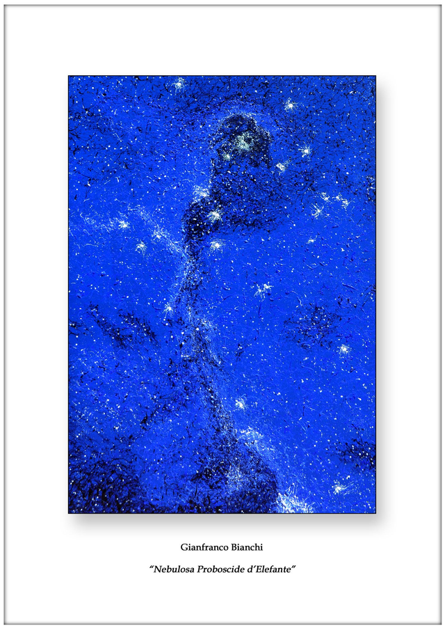 Litografia "Nebulosa Proboscide d'Elefante"