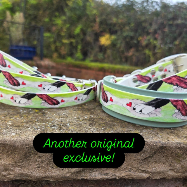 Paw in hand biothane collars 