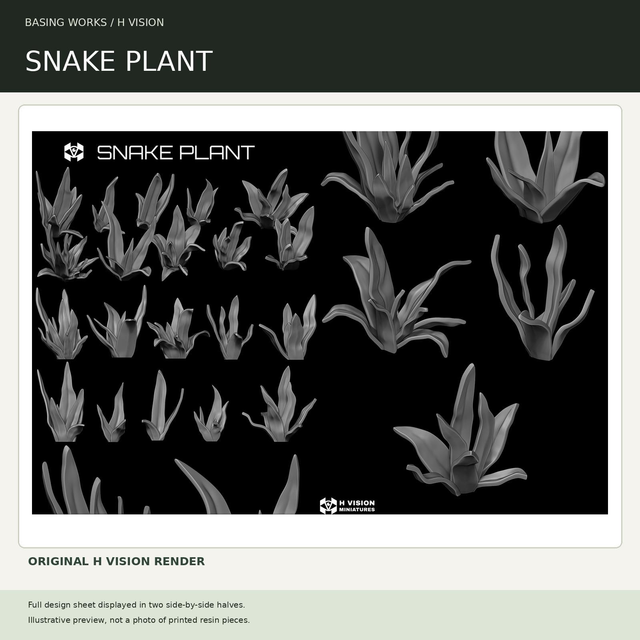H Vision - Snake Plant