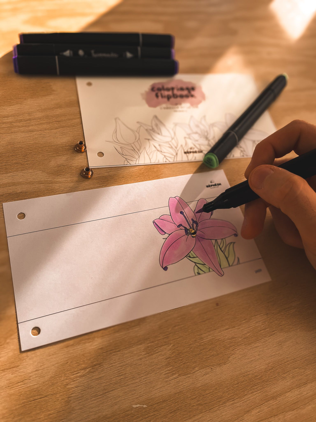 Coloriage Flipbook fait à la main- L'abeille et le Lys