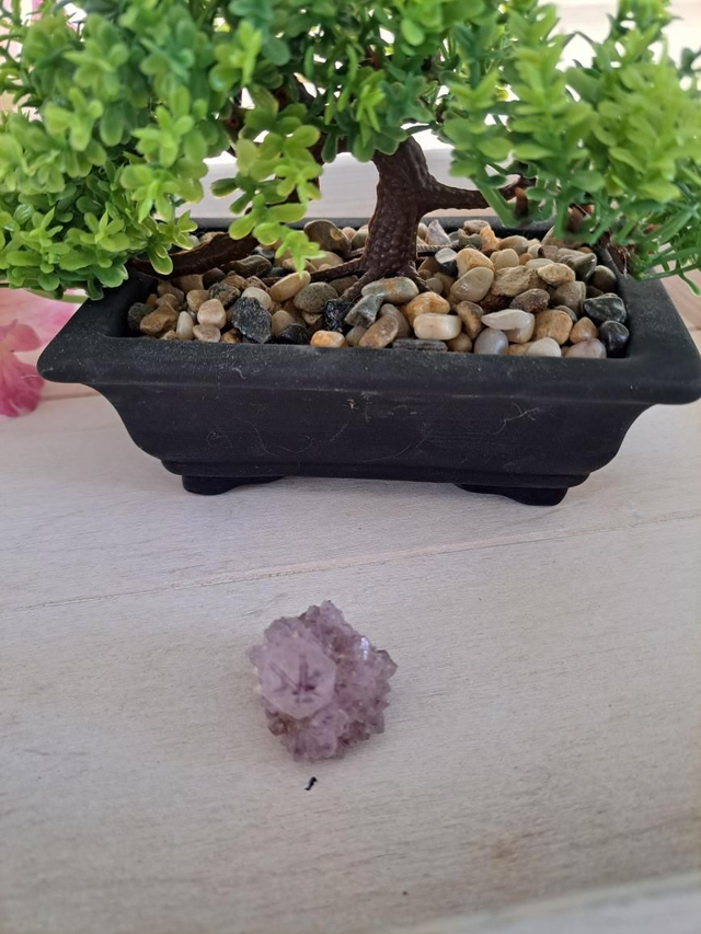 Améthyste cactus 19g