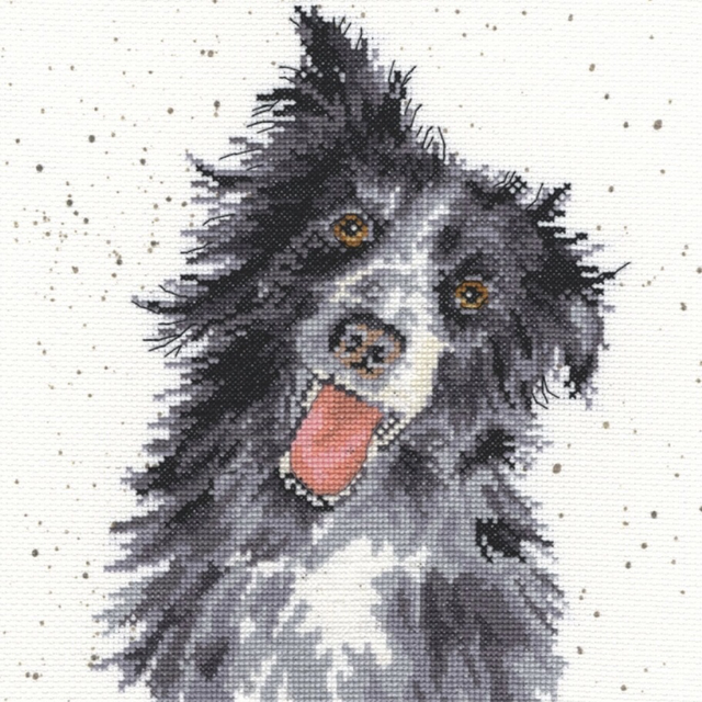 Collie Cross Stitch Kit