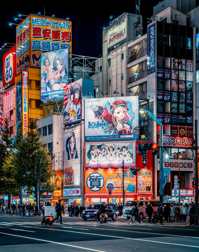 Akihabara Lights
