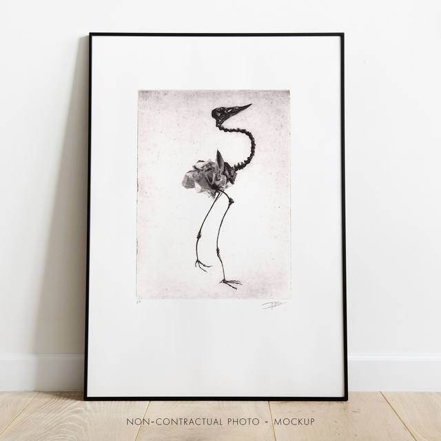 Fine art etching / Not framed / Bird Skull I