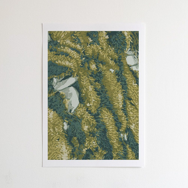 De mousse et de pierres