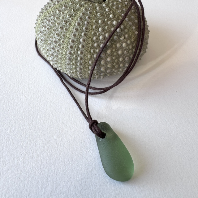 Collier Trésor marin cordon vert  