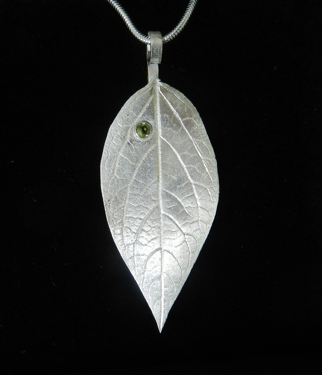 Wintersweet (Chimonanthus) leaf