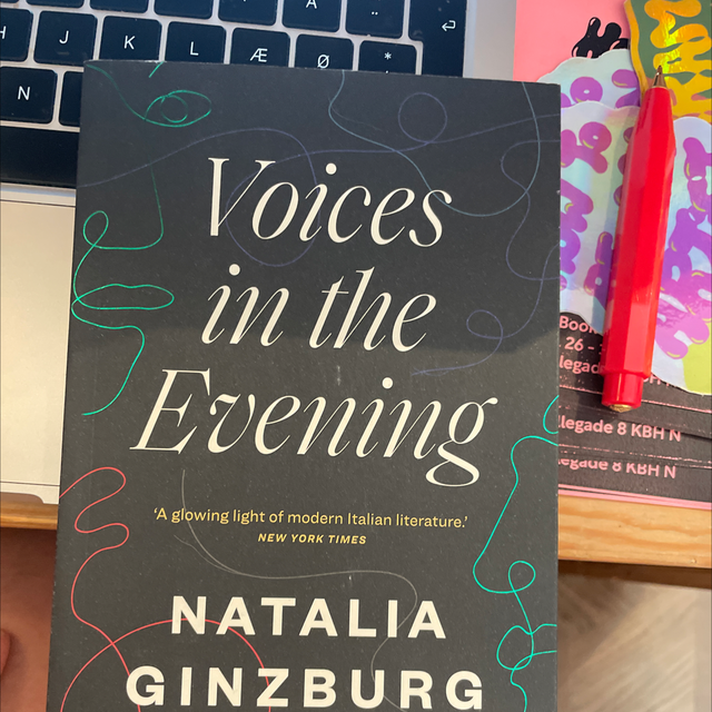 Voices In The Evening Natalia Ginzburg