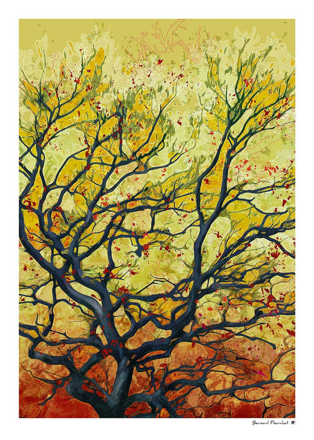 Arb02 - Nigrum Quercus 35-65