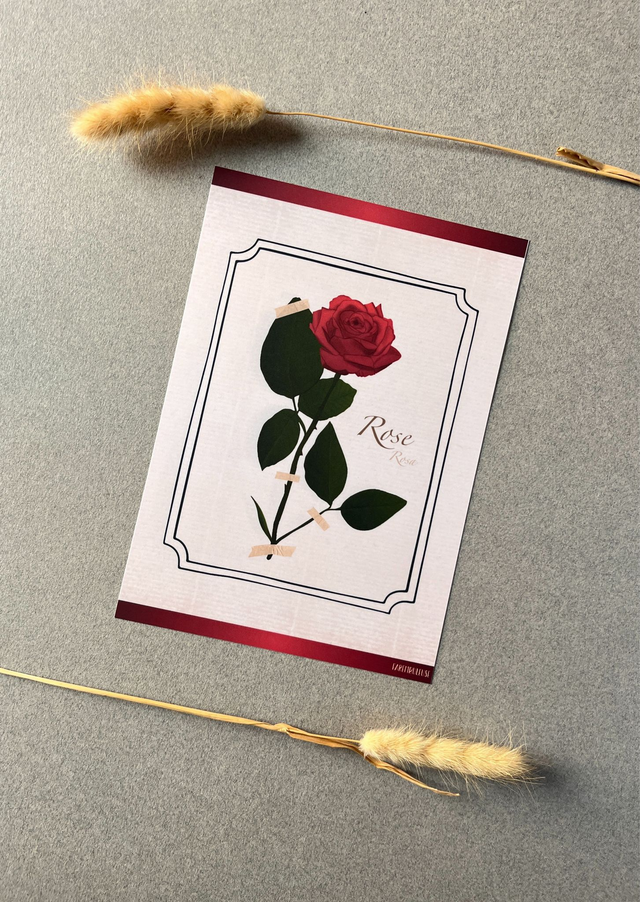 Affiche 06. La Rose (juin)