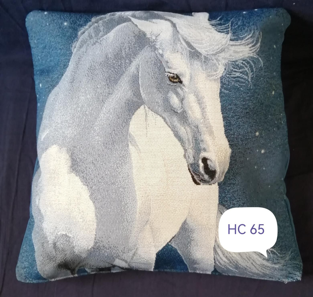 Housse coussin HC 65