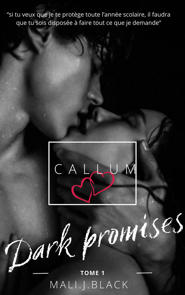 Dark Promises tome 1 relié ( fin de stock première version)