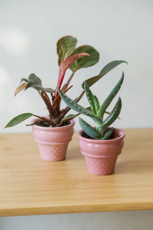 Cache pots cornets de glace roses 🩷