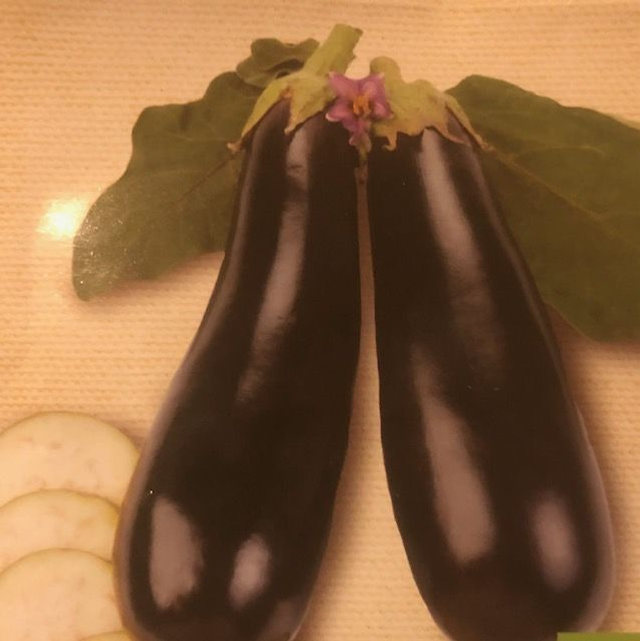 Aubergine Longue Violette AB 