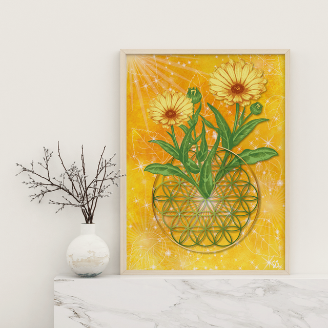 Affiche CALENDULA