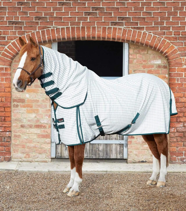 Premier Equine Combo Cotton Sheet Green Check