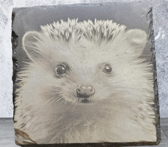 Slate Coaster - Hedgehog