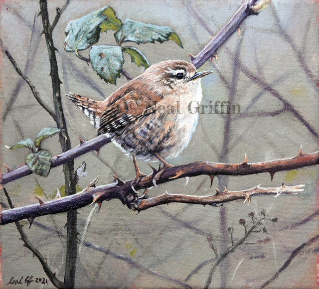 ‘Wren’ Giclee print 