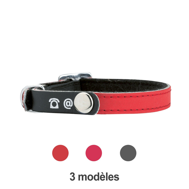 Collier chat porte adresse