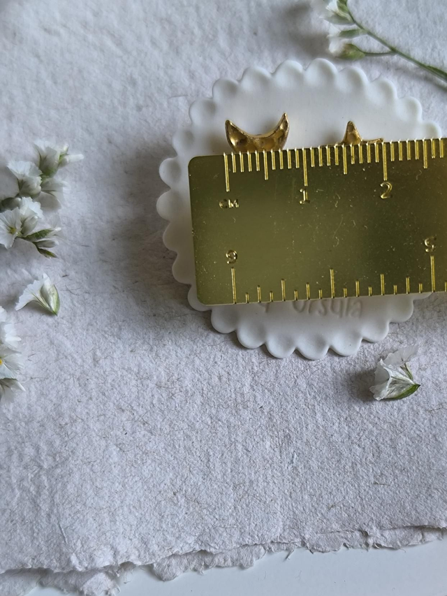 moon and star earrings