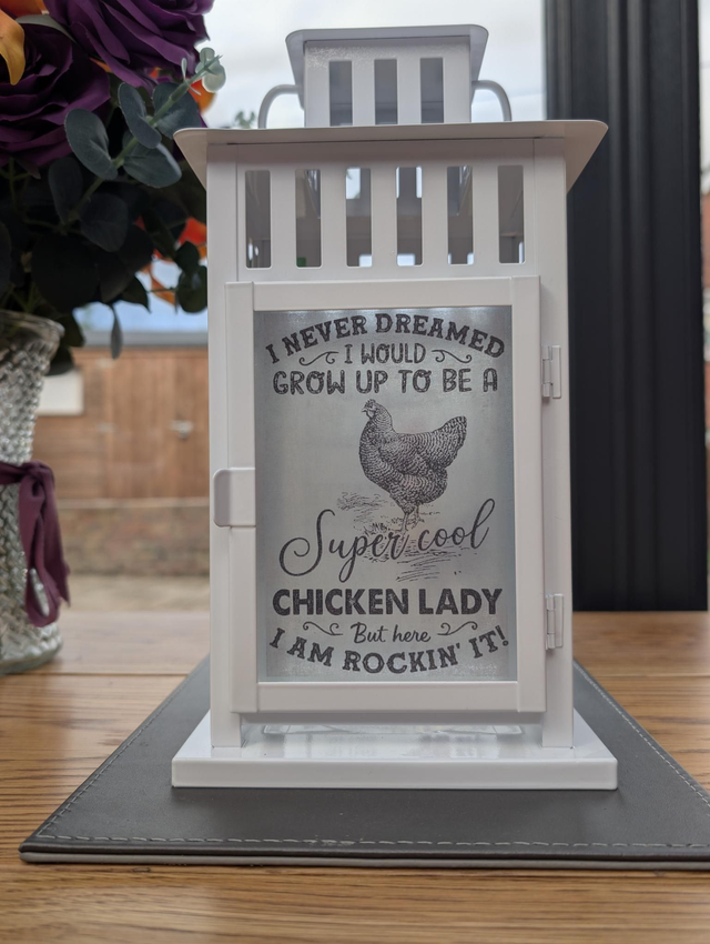 Chicken Humour Lantern 