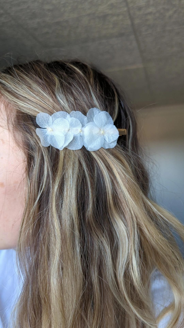 Barrette croco - Cotton Bloom