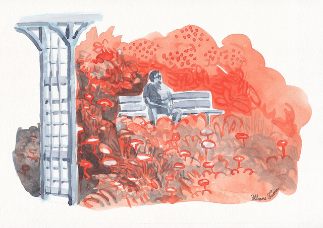 Illustration A4 - La roseraie