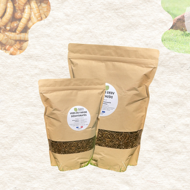 Vers de farine déshydratés